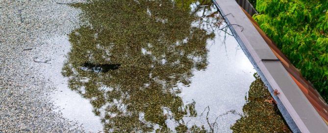 Standing water on a commercial flat roof reflects trees, showing poor drainage and urgent need for EPDM or TPO roofing repair.